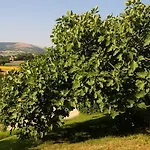 Le Calvie,